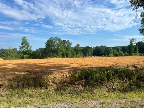 Cleared dirt field bordered by trees under a partly cloudy blue sky