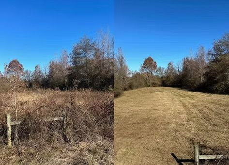 Grassy field with dry brush and trees under a bright blue sky