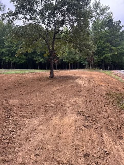 Dirt clearing with a single tree in the center and a line of trees in the background under an overcast sky