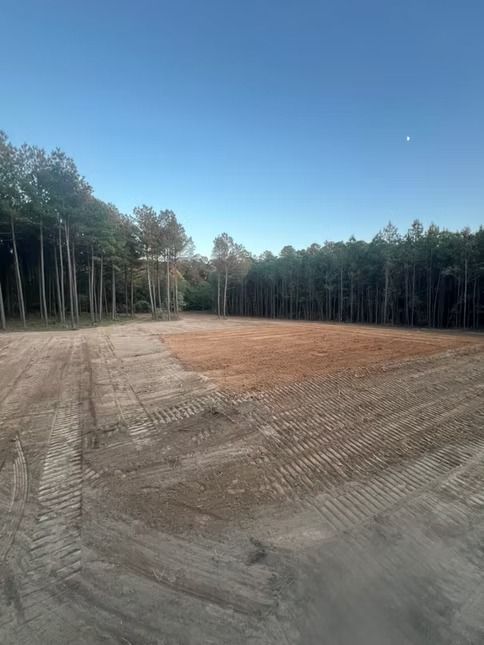 Cleared dirt lot bordered by tall trees under a clear blue sky