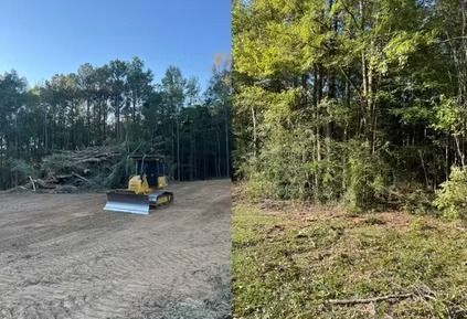 Cleared dirt lot beside dense forest, with a small bulldozer under a blue sky.