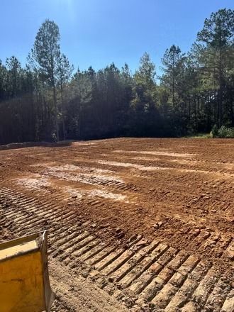 Cleared dirt construction site with tire tracks, bordered by pine trees under a blue sky