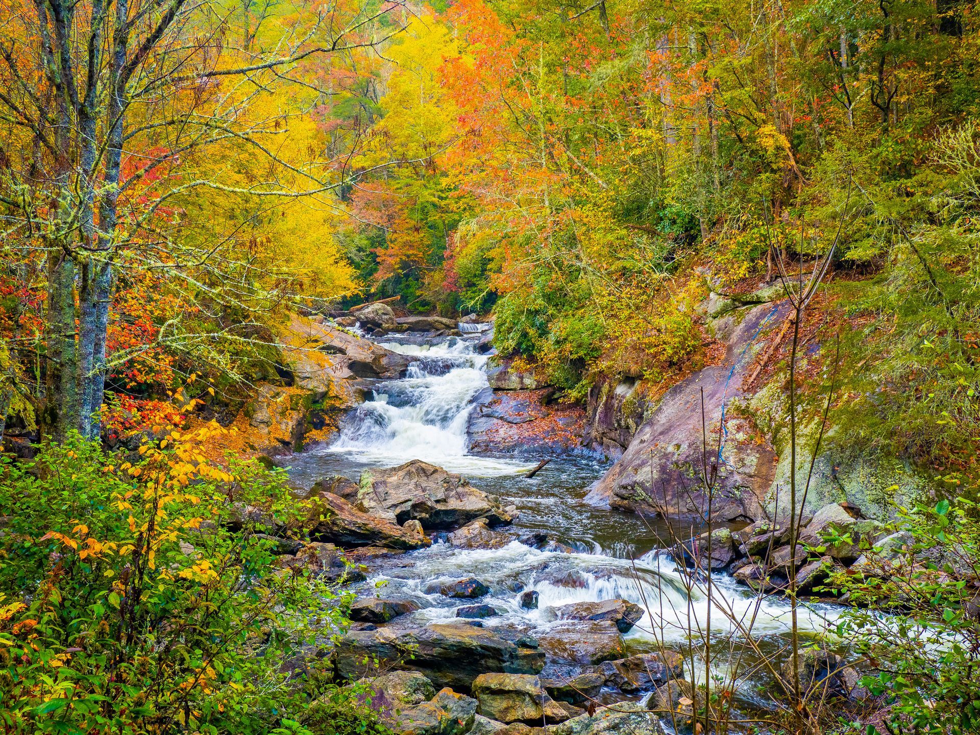 Autumn forest stream with whitewater cascading over rocks amid colorful fall foliage