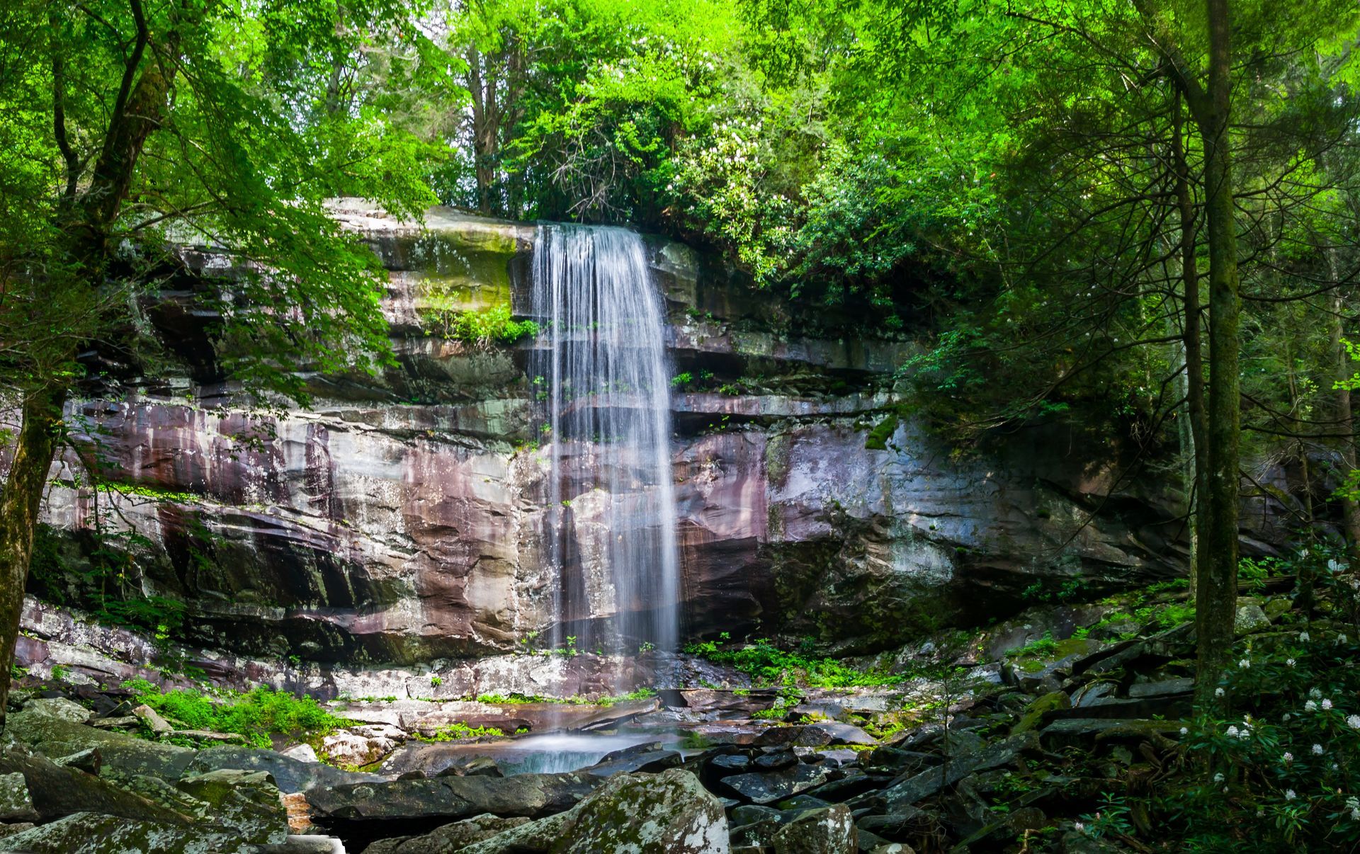Waterfall cascading over a rocky cliff surrounded by lush green trees in a forest.