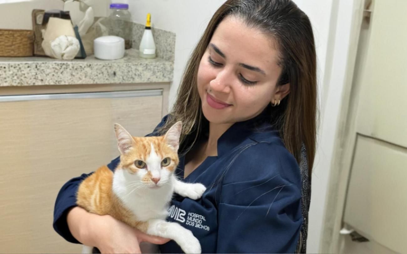 Mulher vestida de azul segurando um gato em um ambiente clínico. O gato é laranja e branco e olha para a frente.