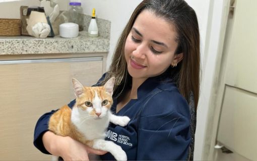 Mulher vestida de azul segurando um gato em um ambiente clínico. O gato é laranja e branco e olha para a frente.