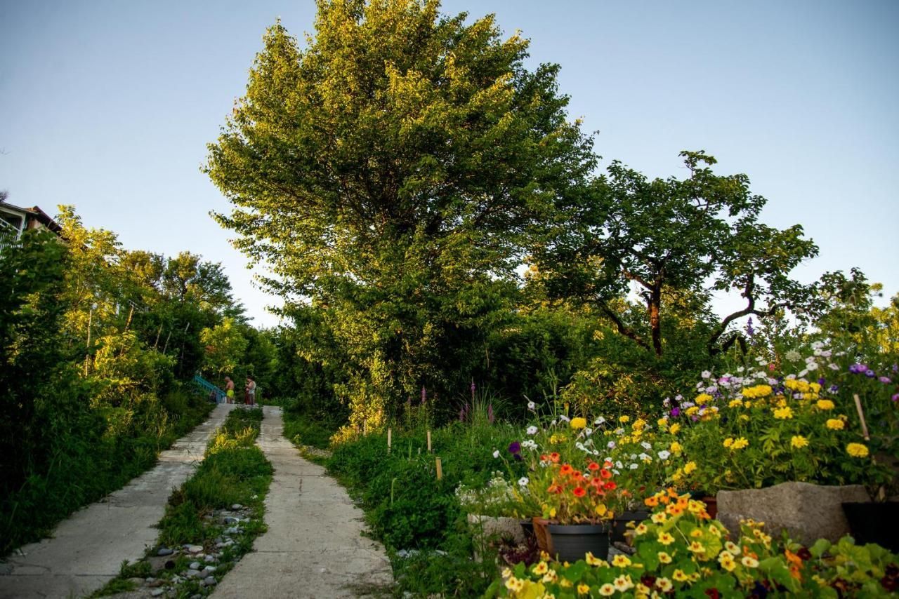 Lush and blooming garden in Shromantic Garden, Western Georgia