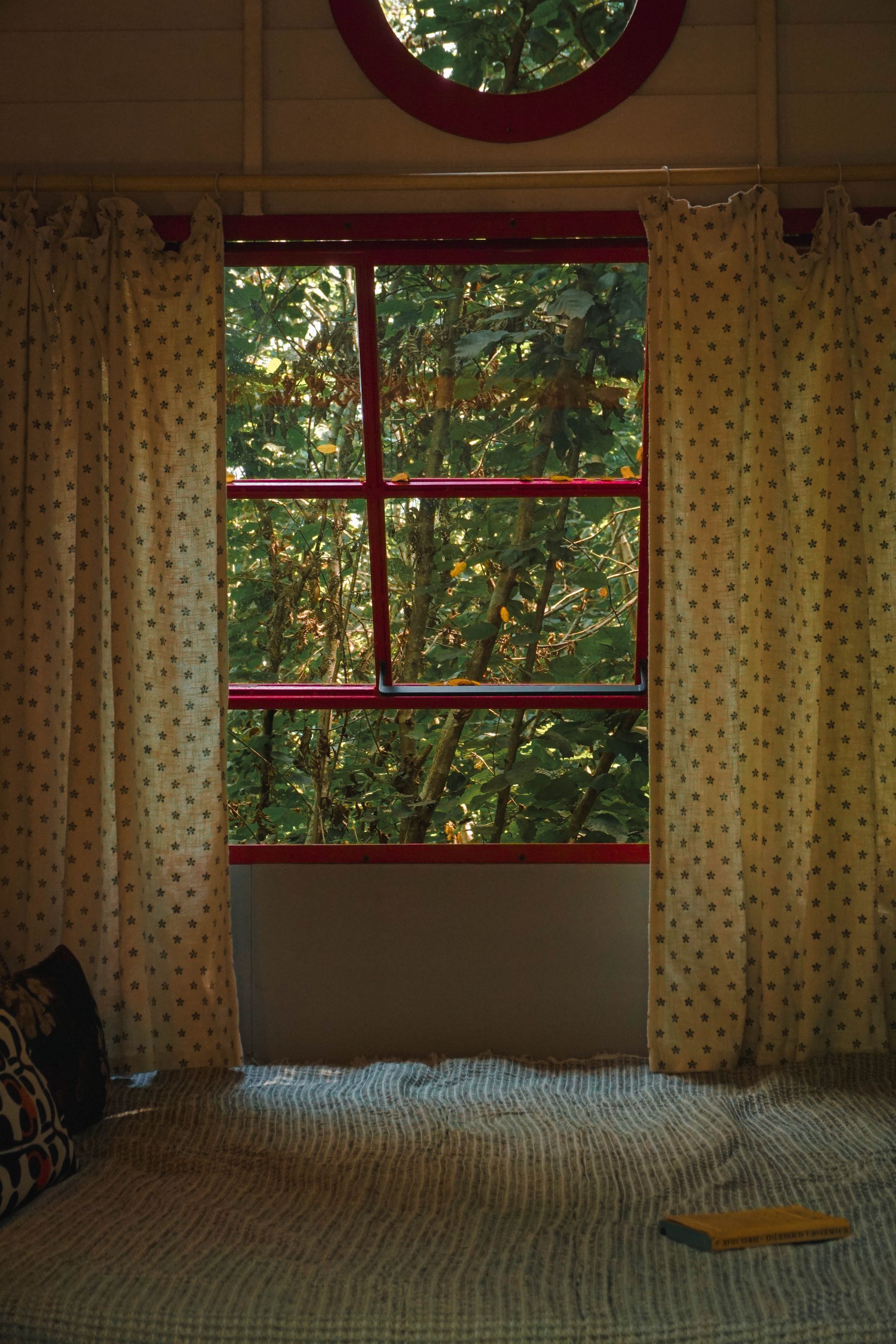 Forest view through cabin window, off-grid tiny house at Shromantic Garden Guria