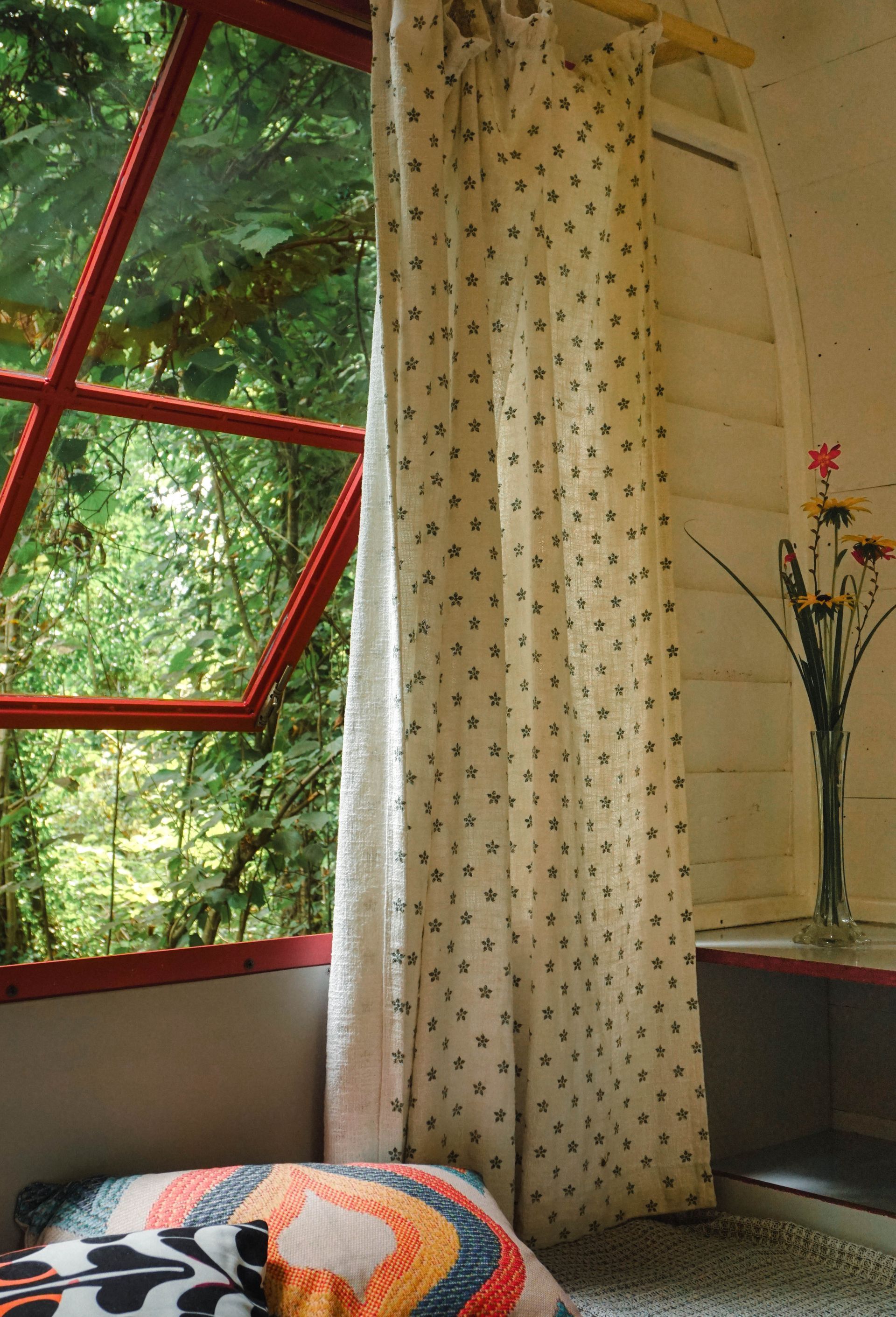 Forest view through the Forest Cabin window, off-grid tiny house at Shromantic Garden Guria