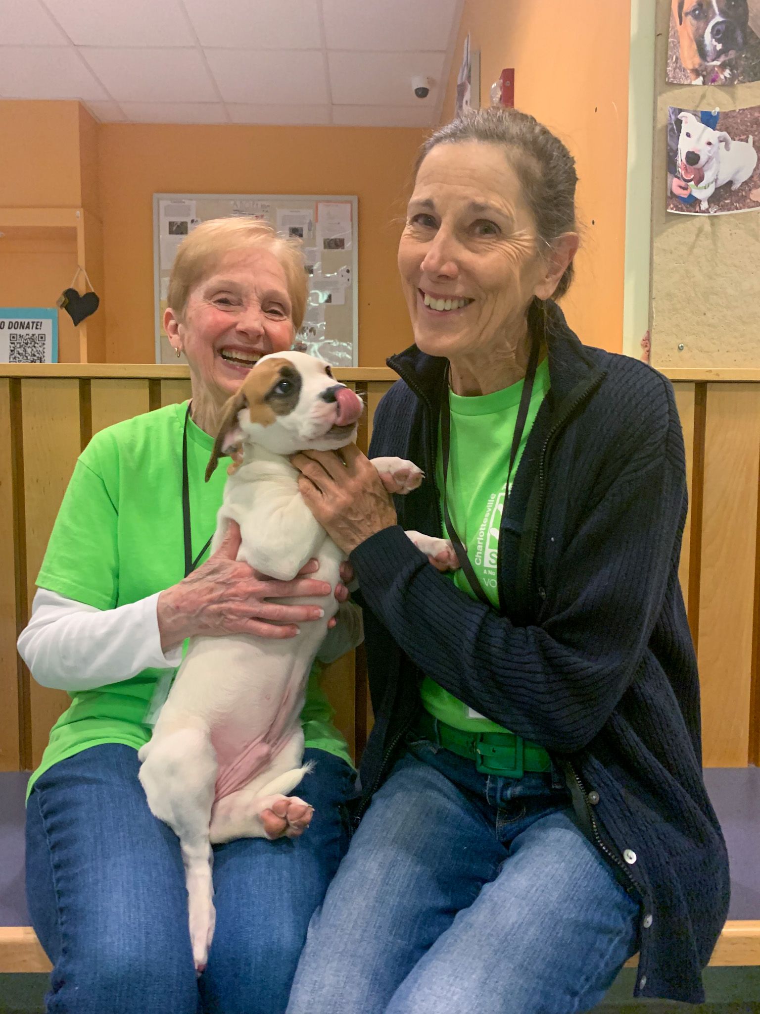Charlottesville-Albemarle SPCA