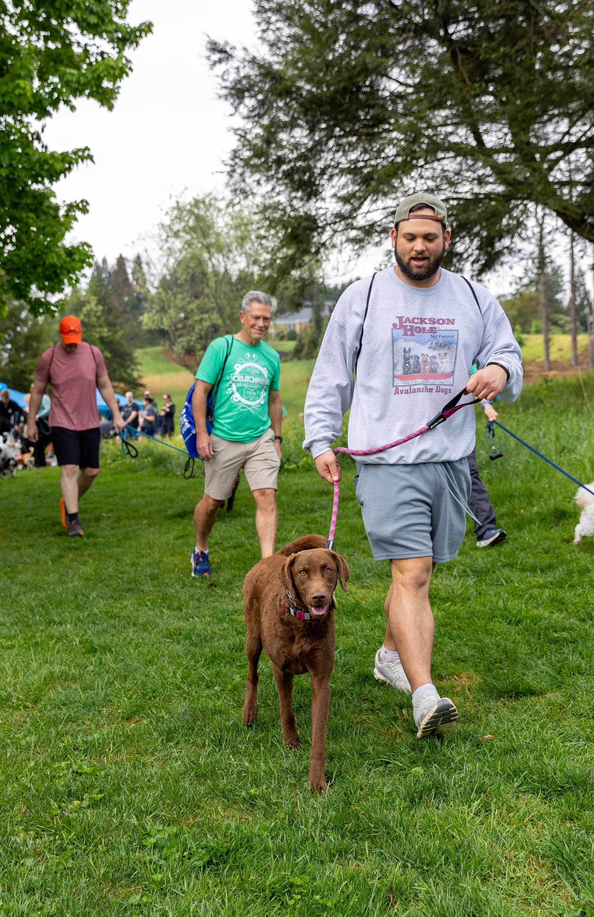community dog walk