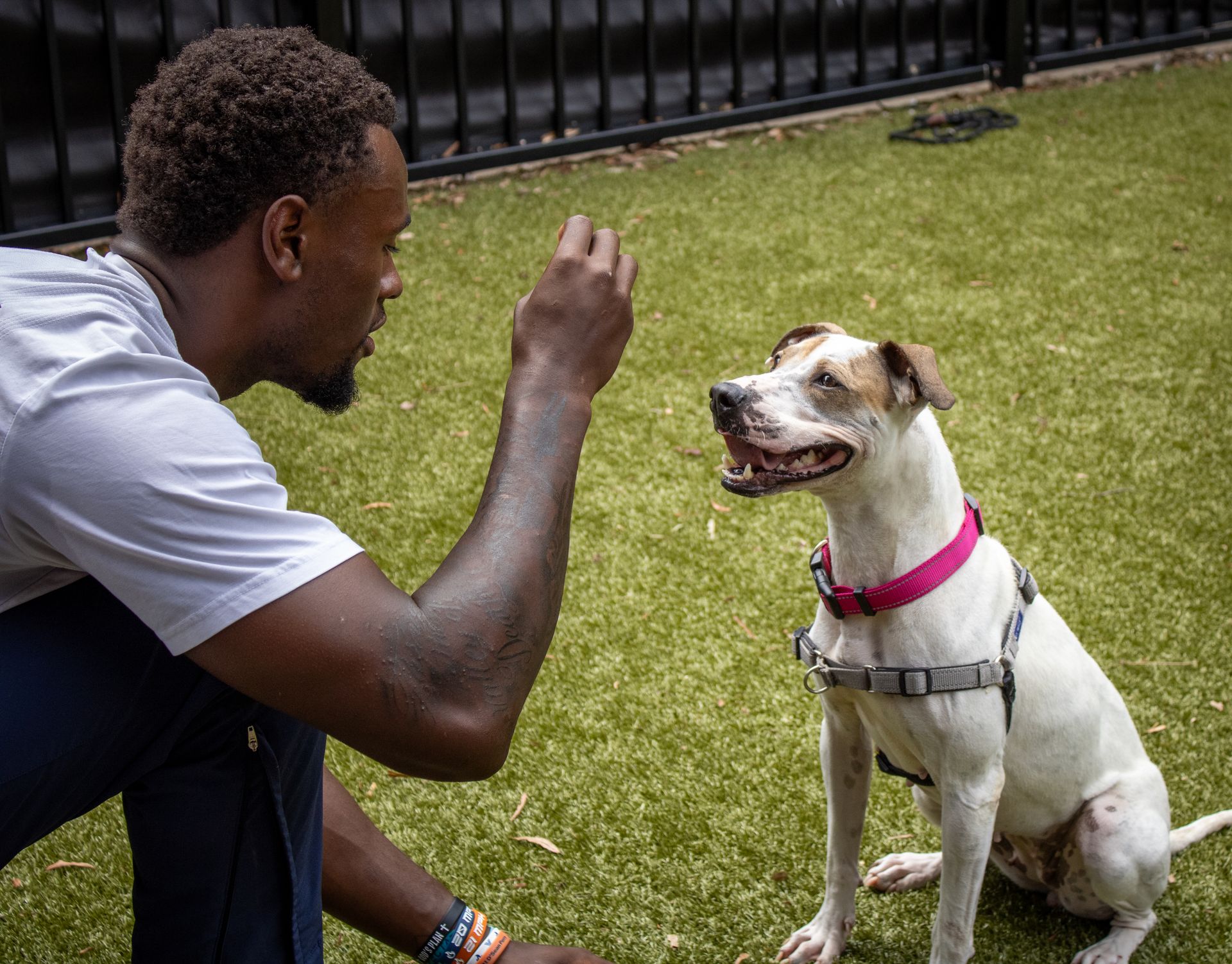man giving dog a treat, while dog is sitting