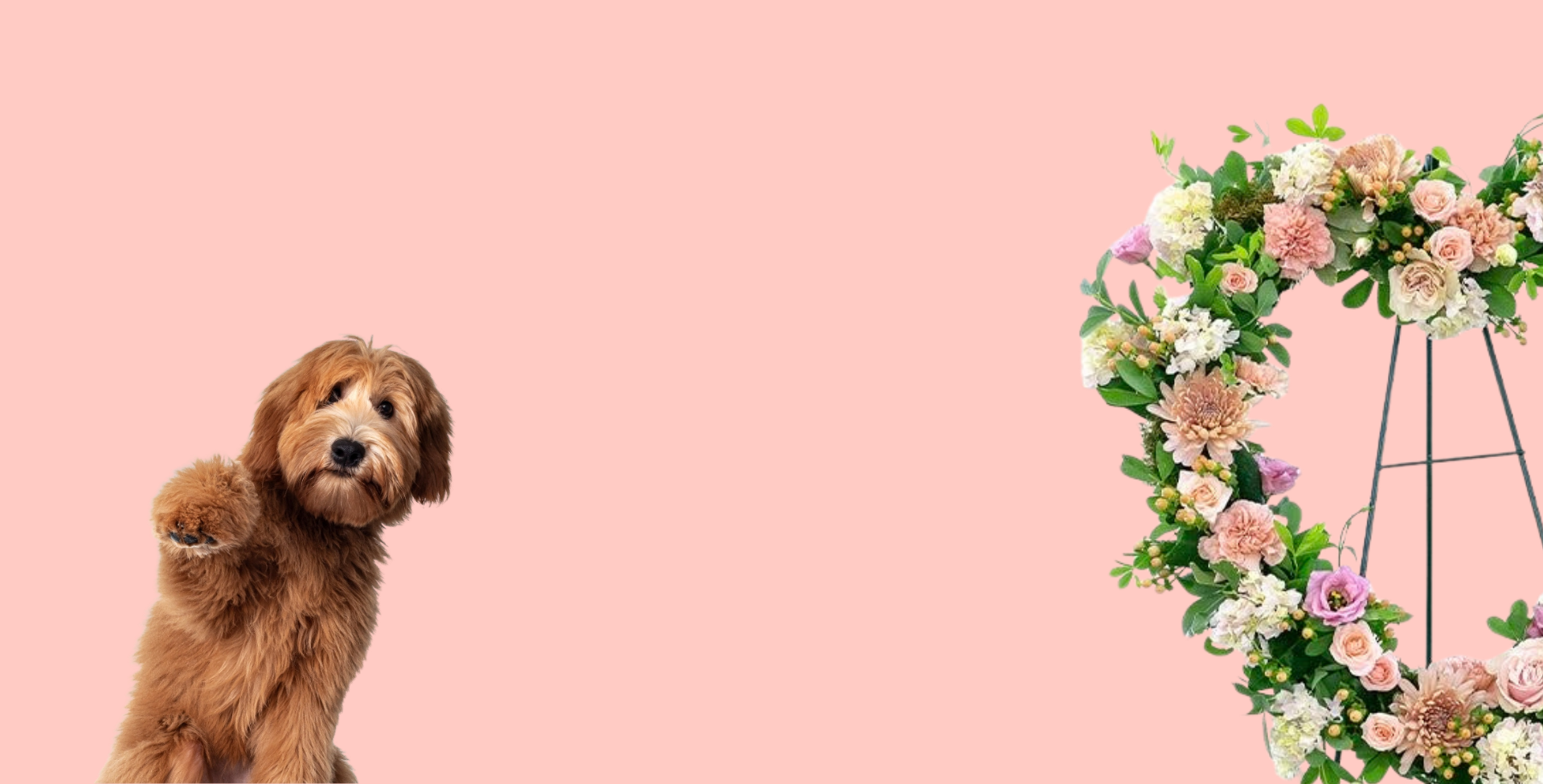 Dog and floral heart against pink background.