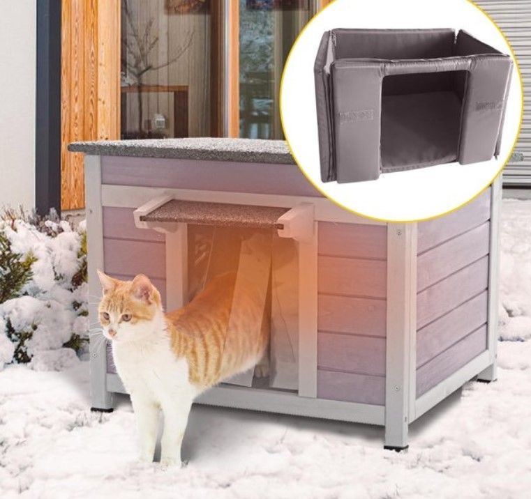 Cat in Winter Cat Shelter