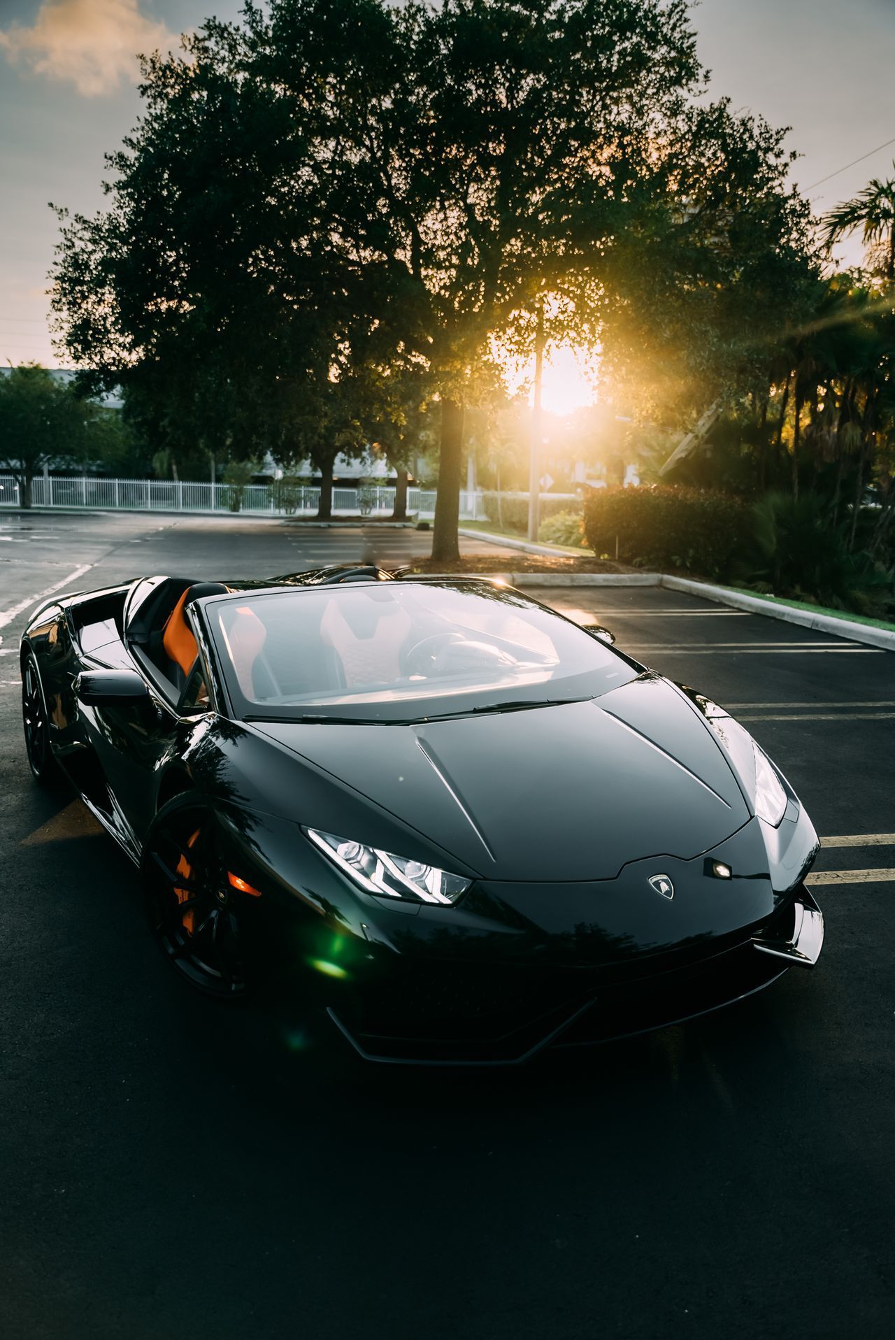 Is Paint Protection Film Worth It