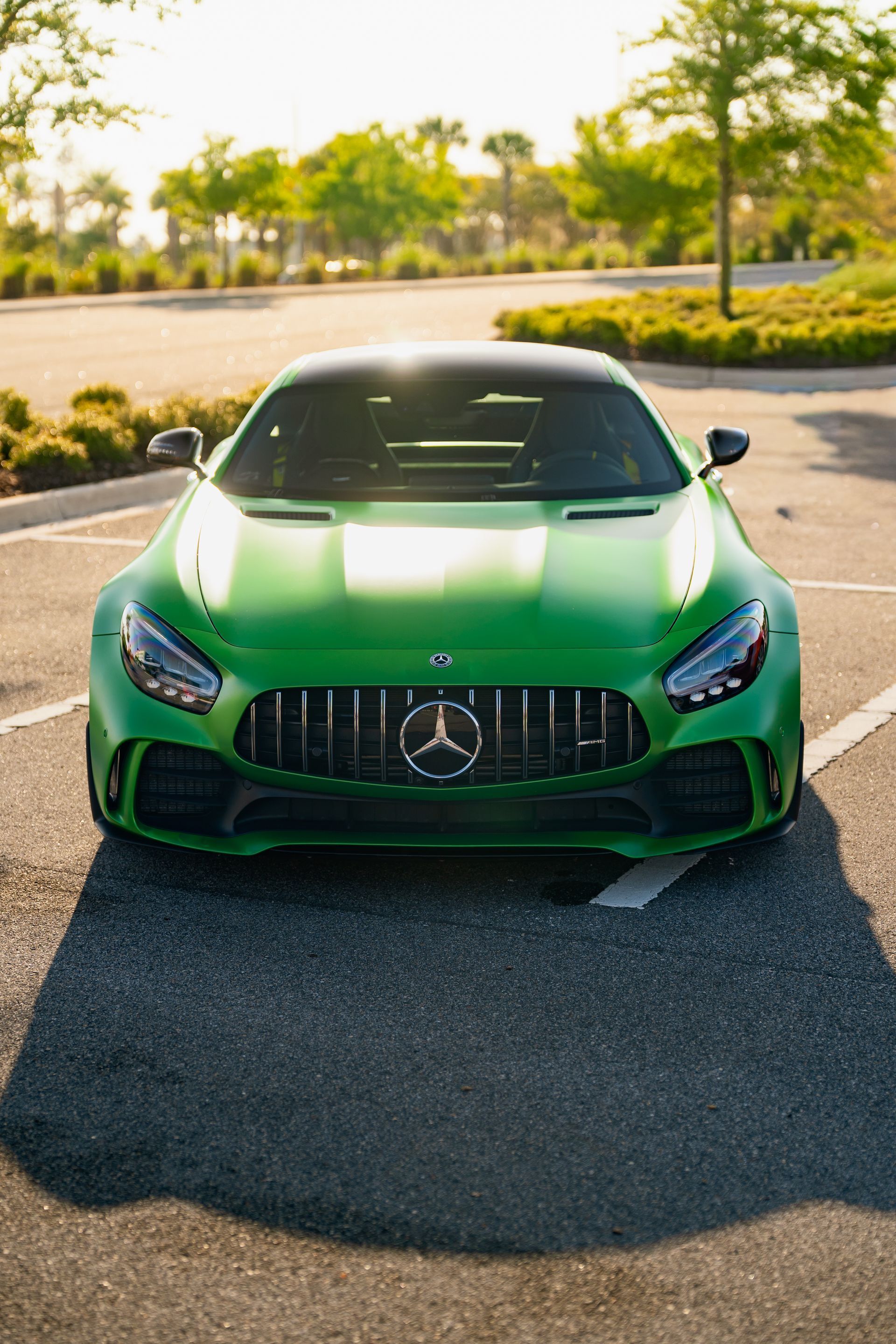 Premium Paint Protection Film