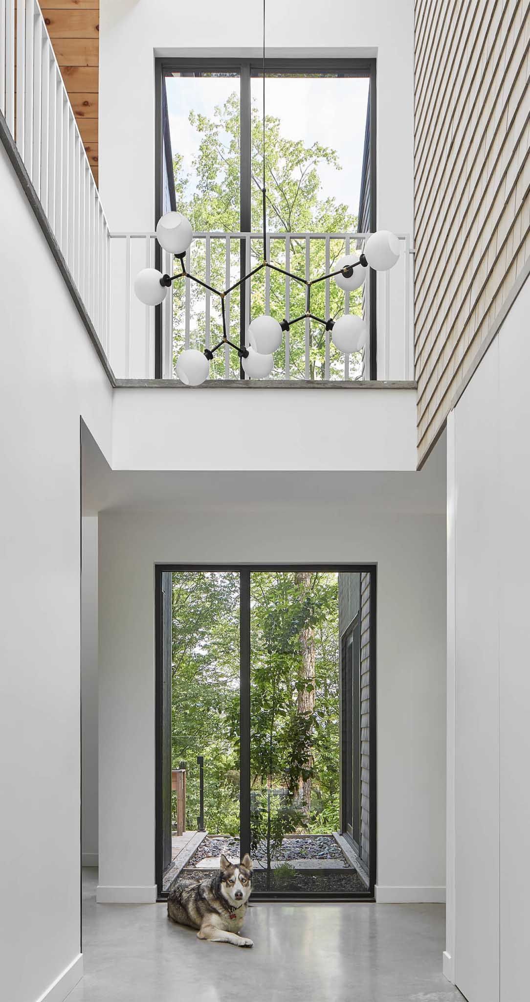 Couloir int&eacute;rieur avec de hautes fen&ecirc;tres, un luminaire moderne et un chien se reposant pr&egrave;s d'une fen&ecirc;tre.