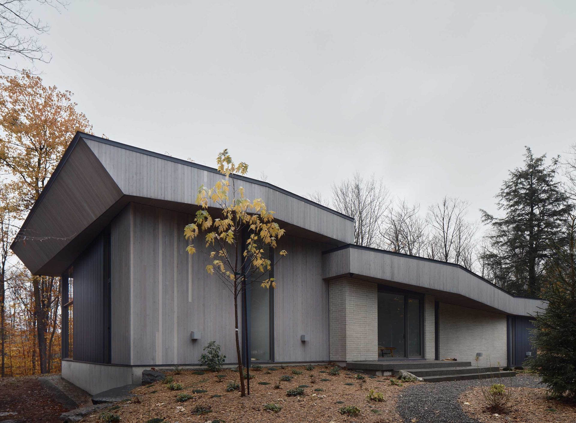 Maison moderne avec bardage en bois et toit en pente ; située dans une zone boisée sous un ciel couvert.