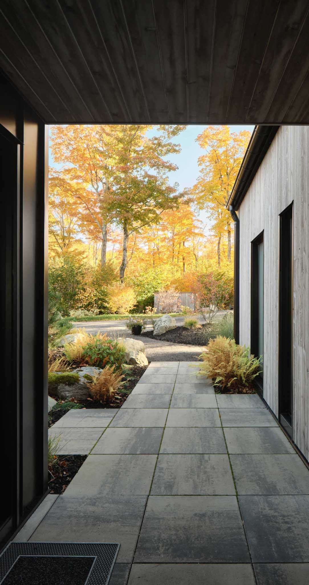 All&eacute;e menant &agrave; un feuillage d'automne, bord&eacute;e par un b&acirc;timent moderne aux fen&ecirc;tres rectangulaires.