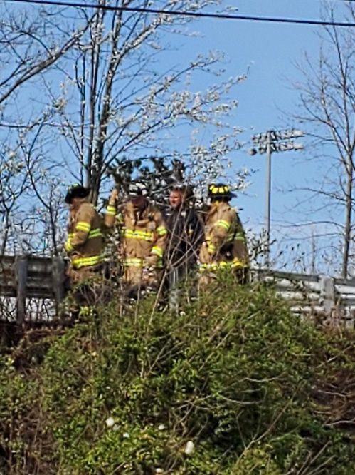 a group of firefighters