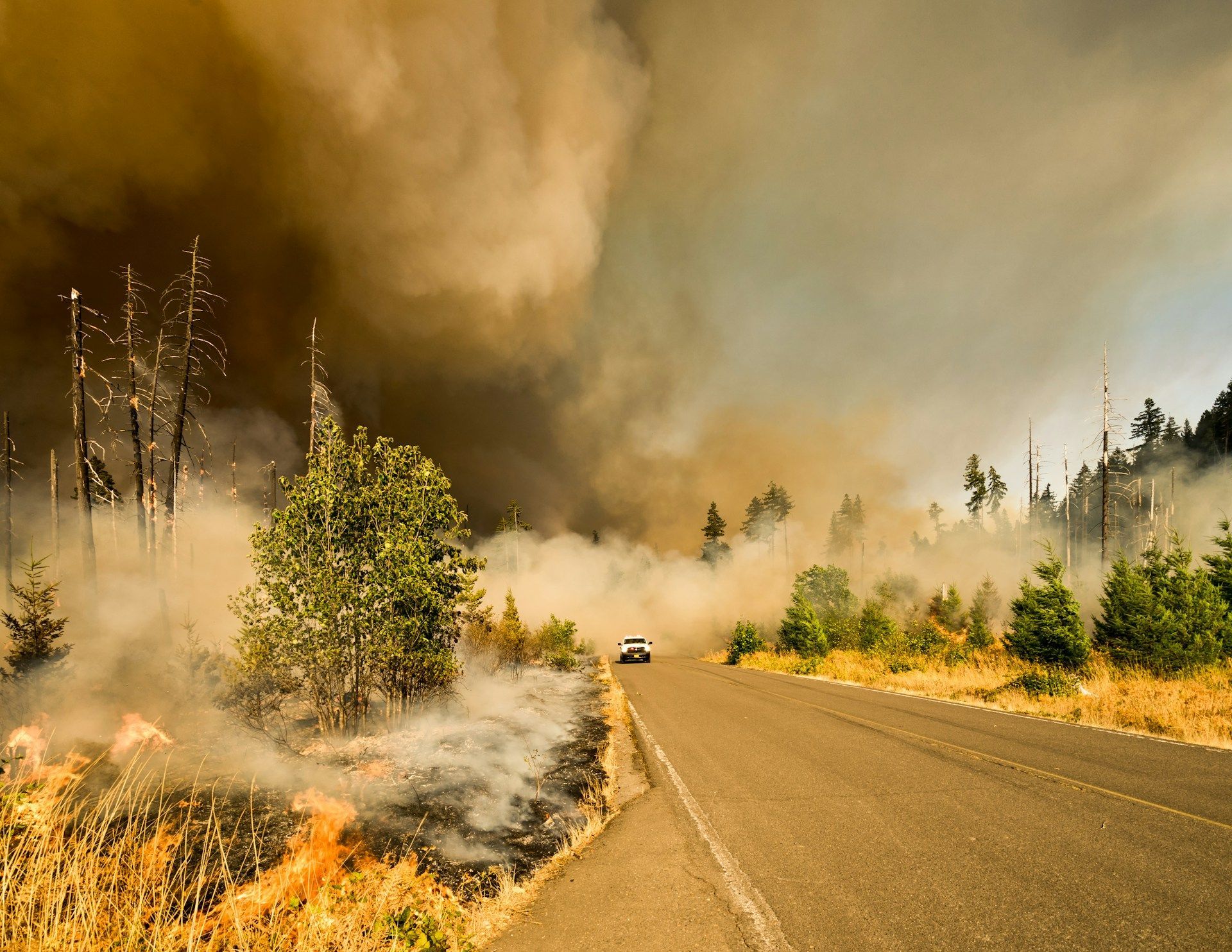 Wildfire
