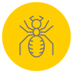 ant control