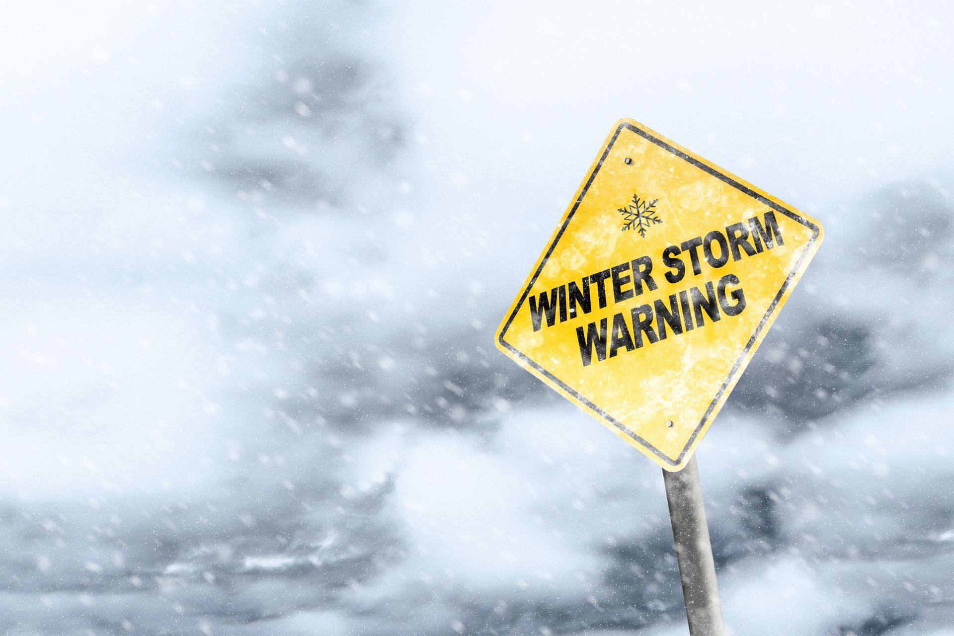 How Winter Storms affect pest control