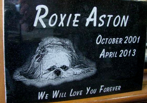 Memorial plaque for Roxie Aston with dates October 2001 and April 2013, saying 
