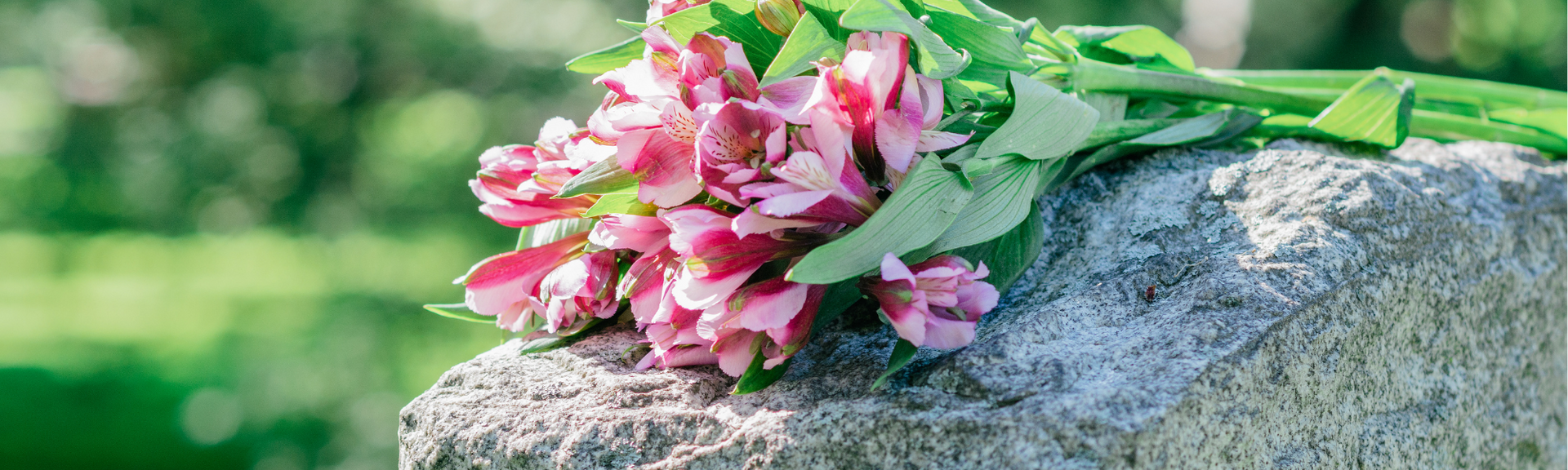 Pink flowers resting on top of a gray headstone in an outdoor setting