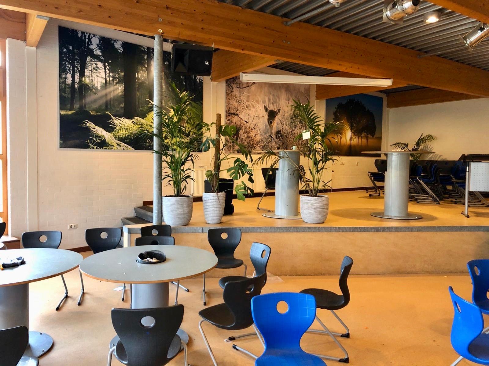 Schoolkantine met muurdecoratie met natuurthema's.