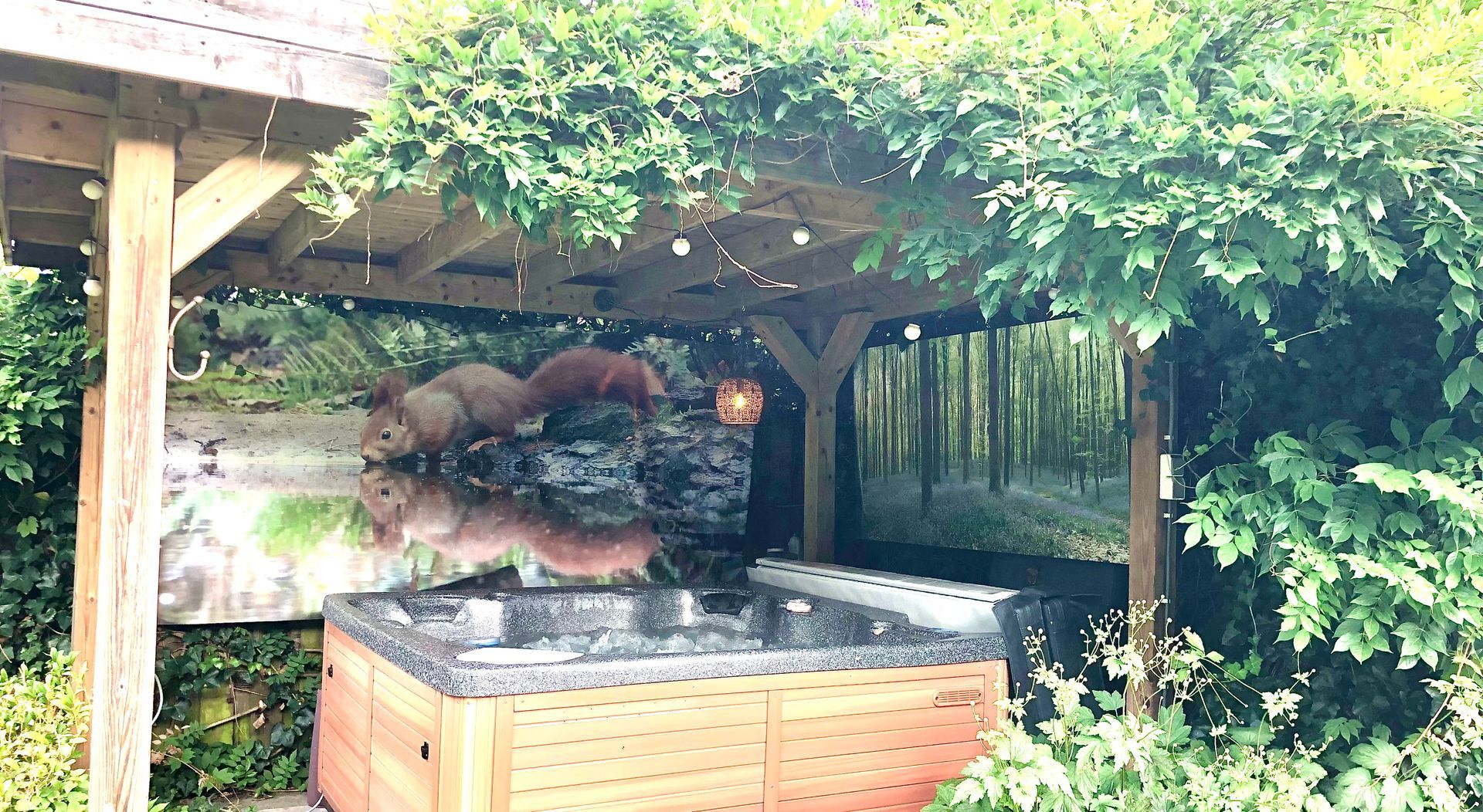 Een jacuzzi onder een houten pergola. Het interieur is voorzien van een natuurfoto's
