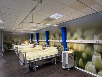 Ziekenhuiskamer met bedden, foto tulpen als wanddecoratie aan de muur.