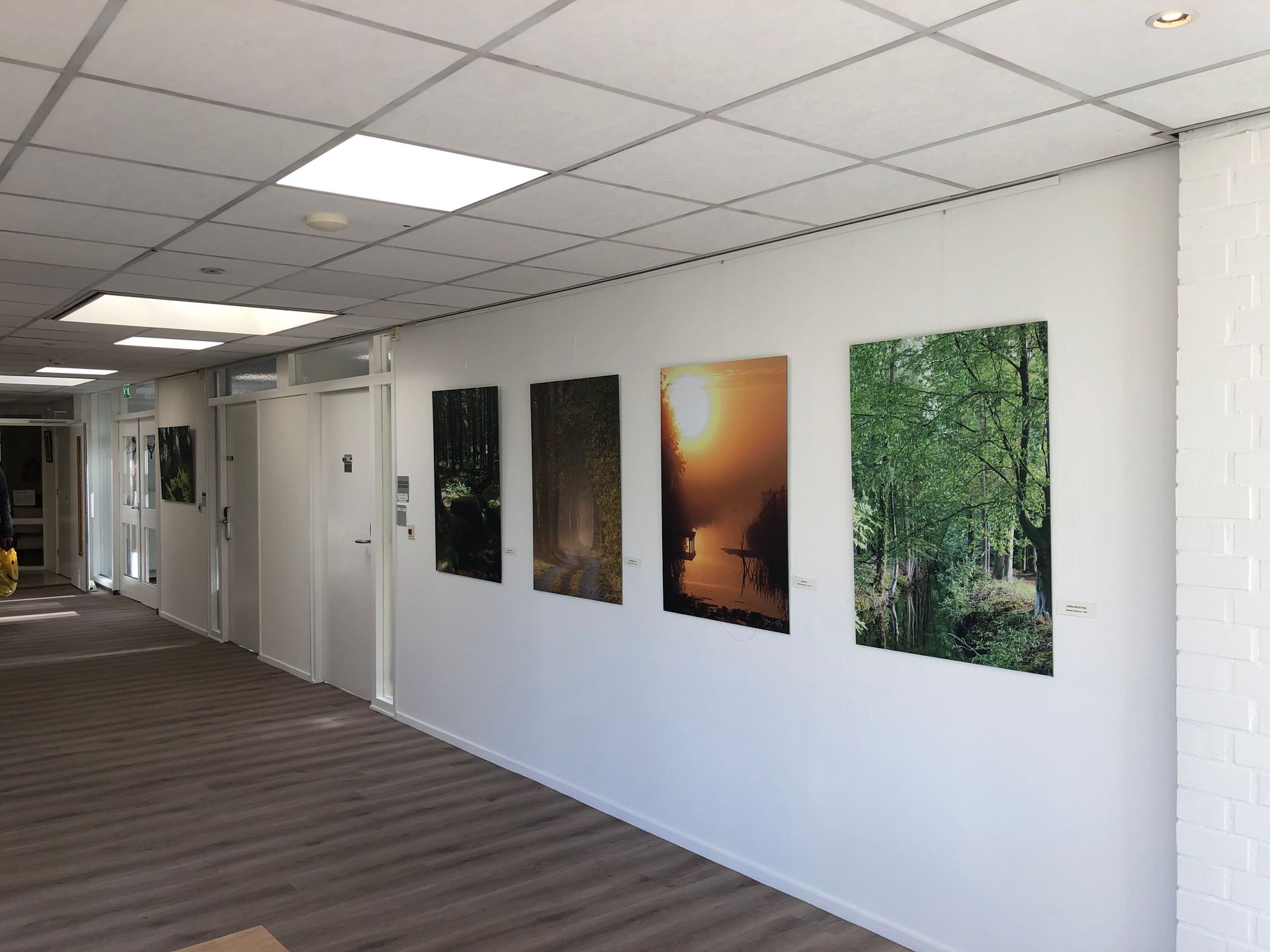 Hal met ingelijste landschapsfoto's aan een witte muur, onder plafondlampen.