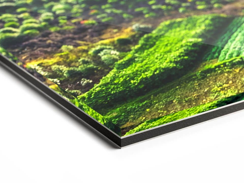 Detailopname van een levendige foto op een metalen afdruk met een zwarte rand, waarop een groen, heuvelachtig landschap te zien is.