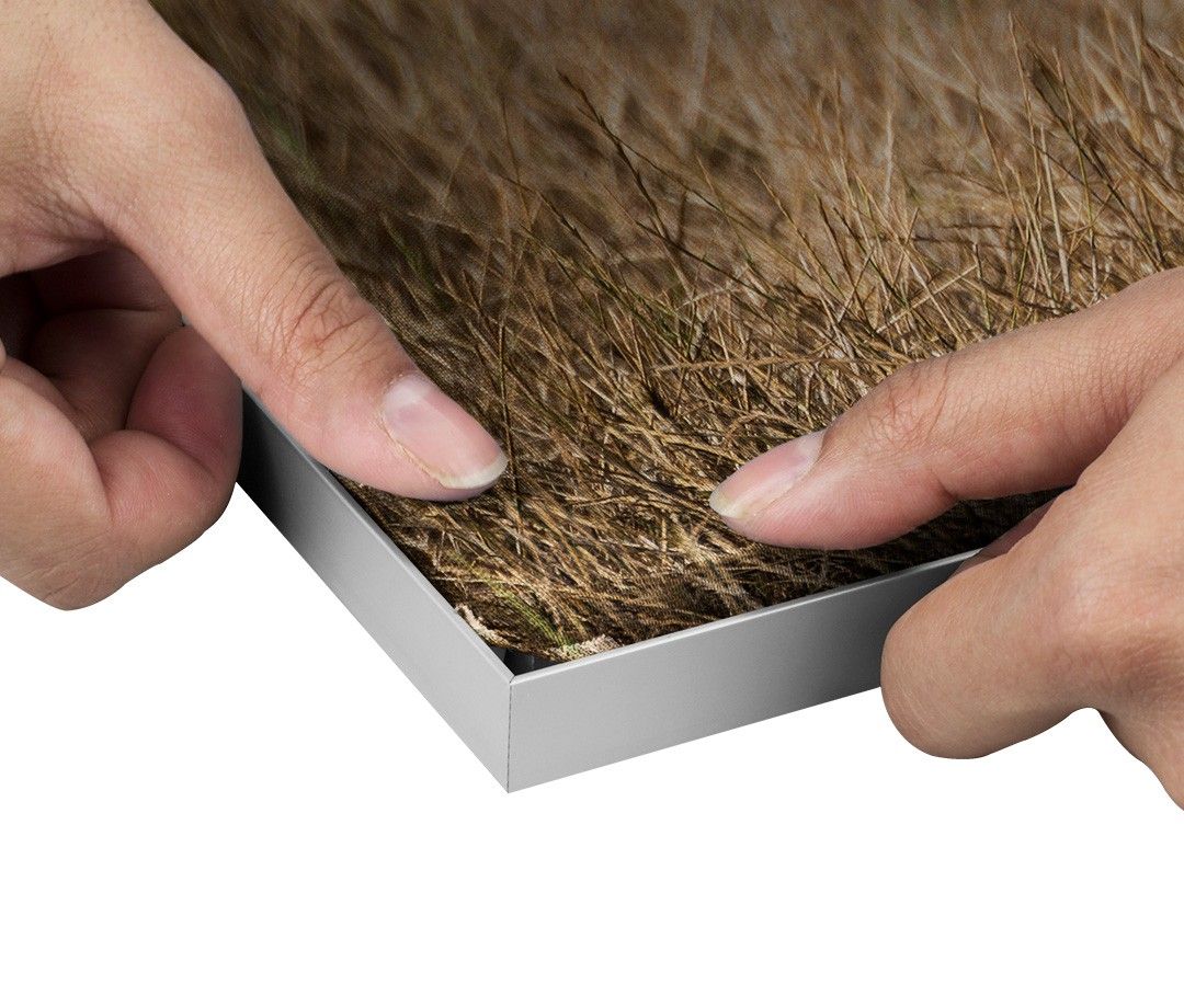 Handen houden een hoek vast van een metalen lijst met een kunstprint waarop een close-up van bruin gras te zien is.