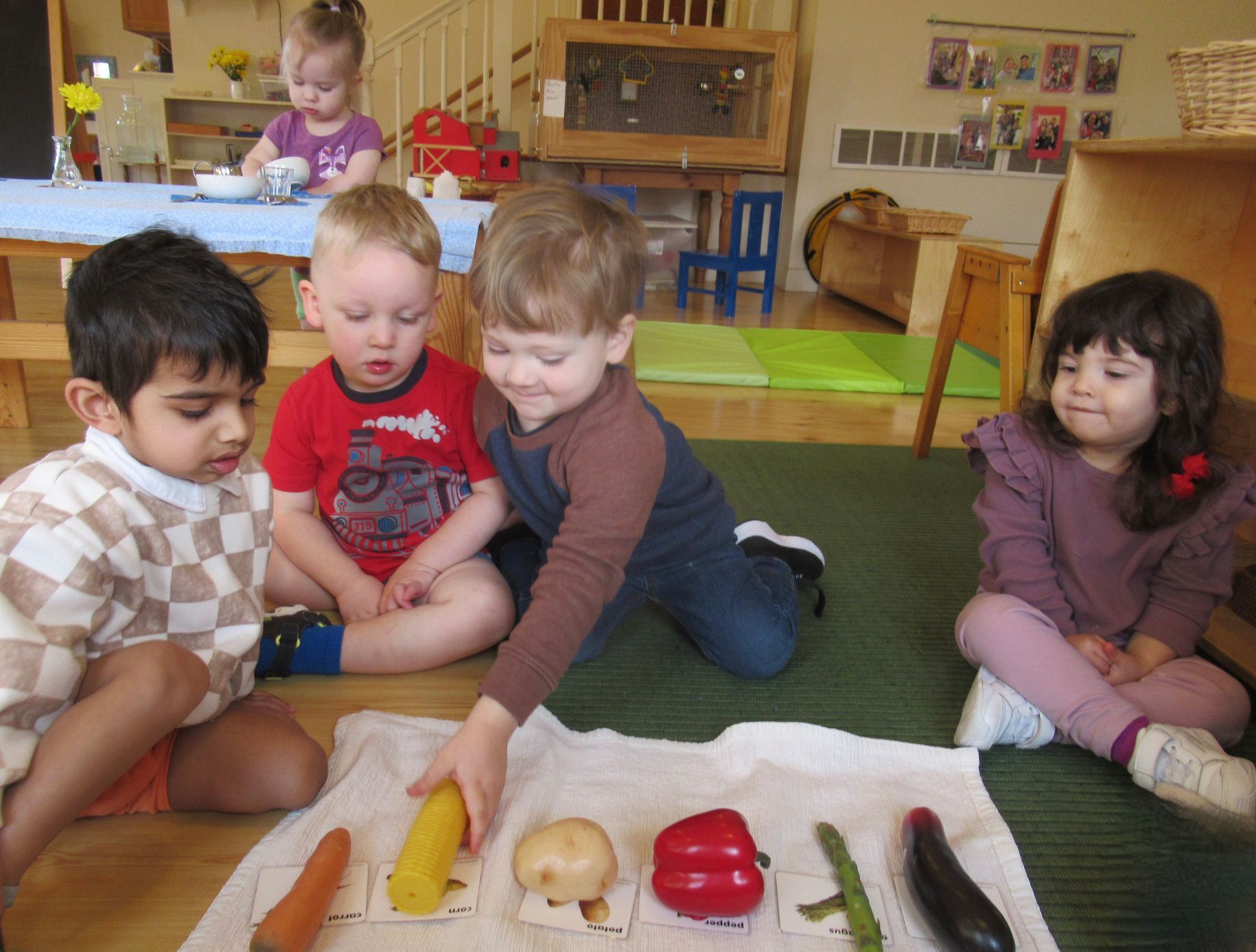 Montessori Children sit on the floor, examining vegetables laid out on a cloth.