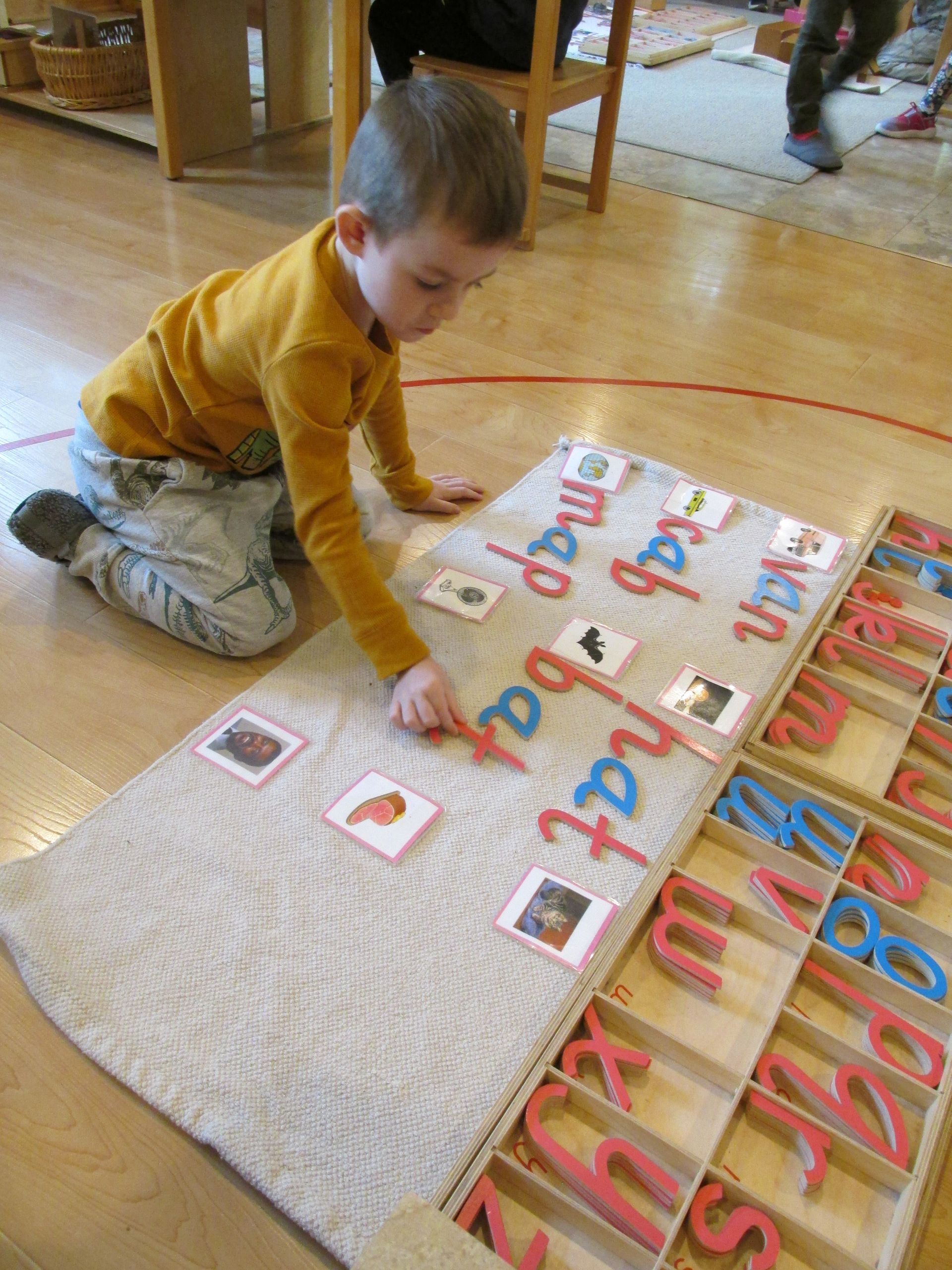Montessori Child playing a reading game with letters and picture cards.