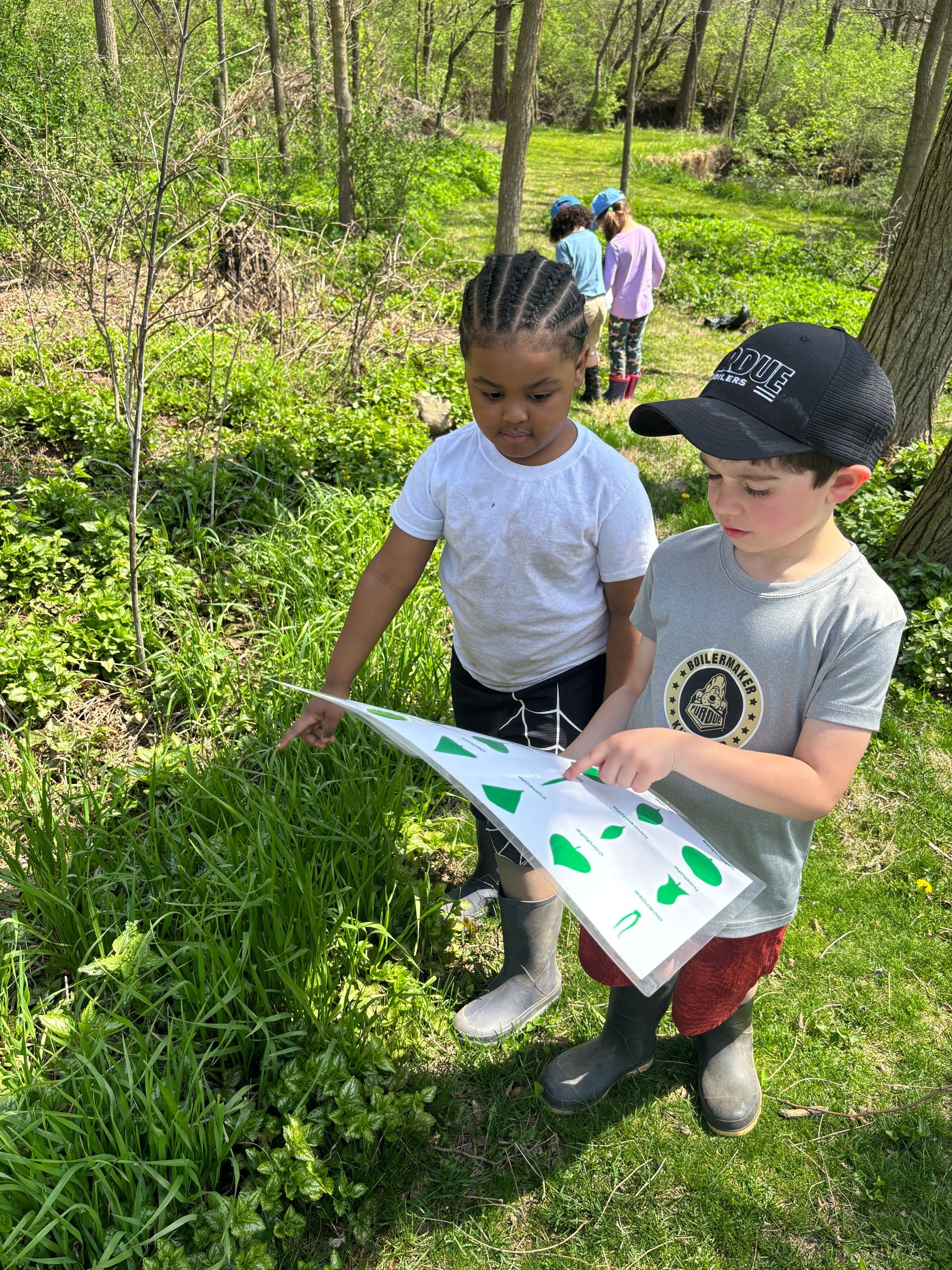 Two Montessori children in a wooded area examining a paper with leaf shapes, pointing at the grass.