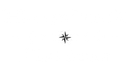 Haystack Fishing Logo Compass rose centered on a white background.