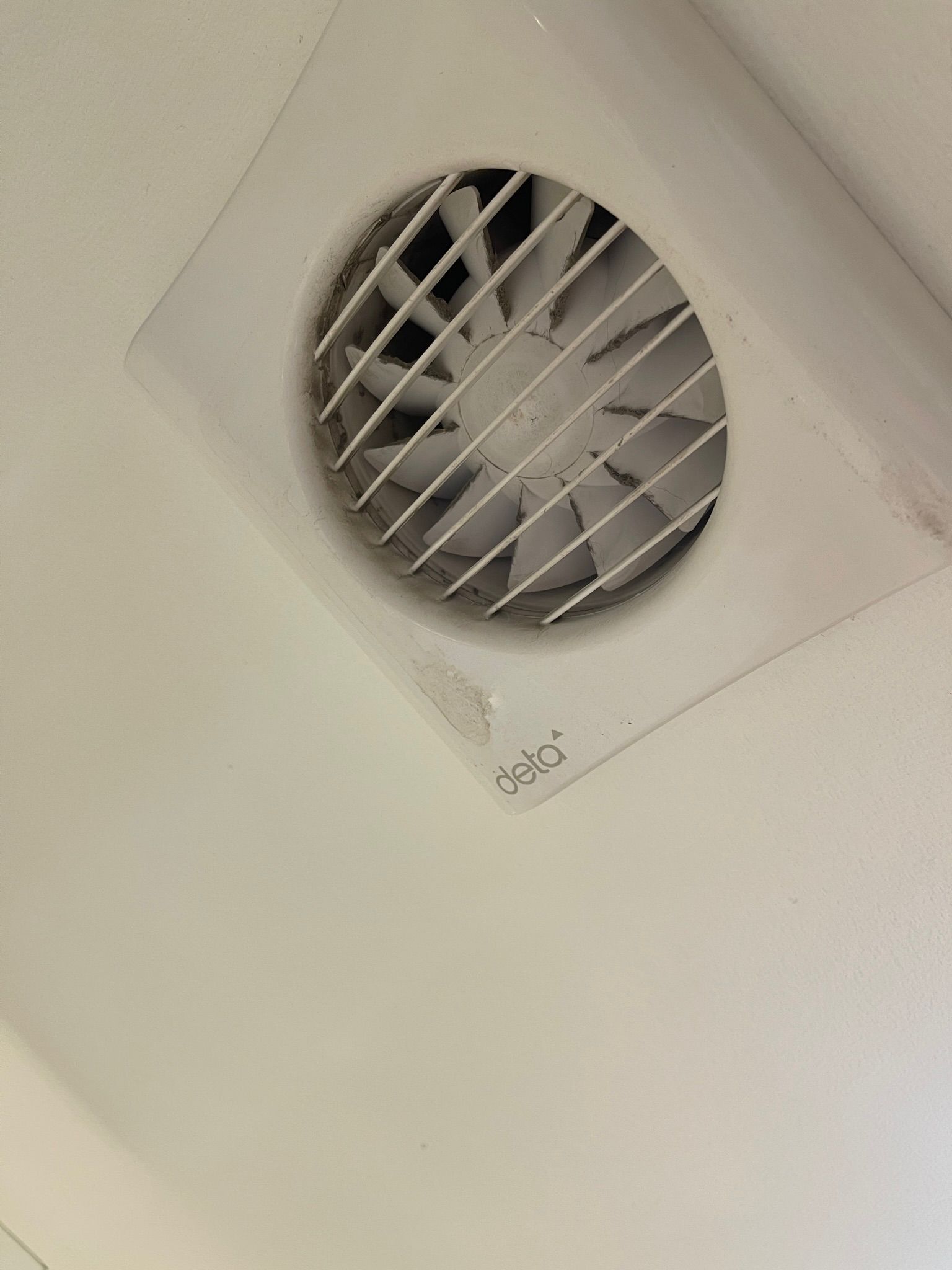 Fan
