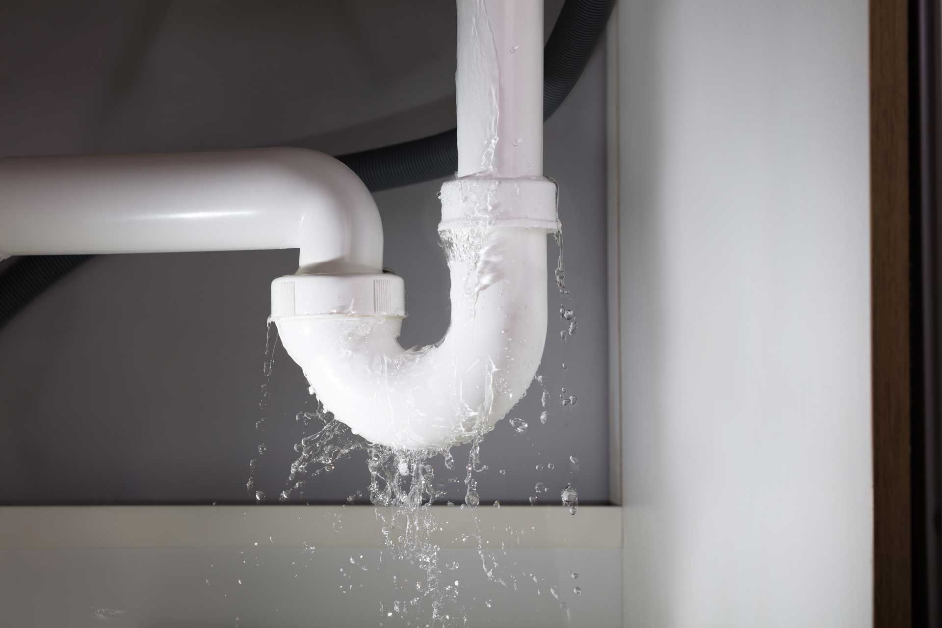 Leaking white drain pipe under a sink, water dripping into a basin
