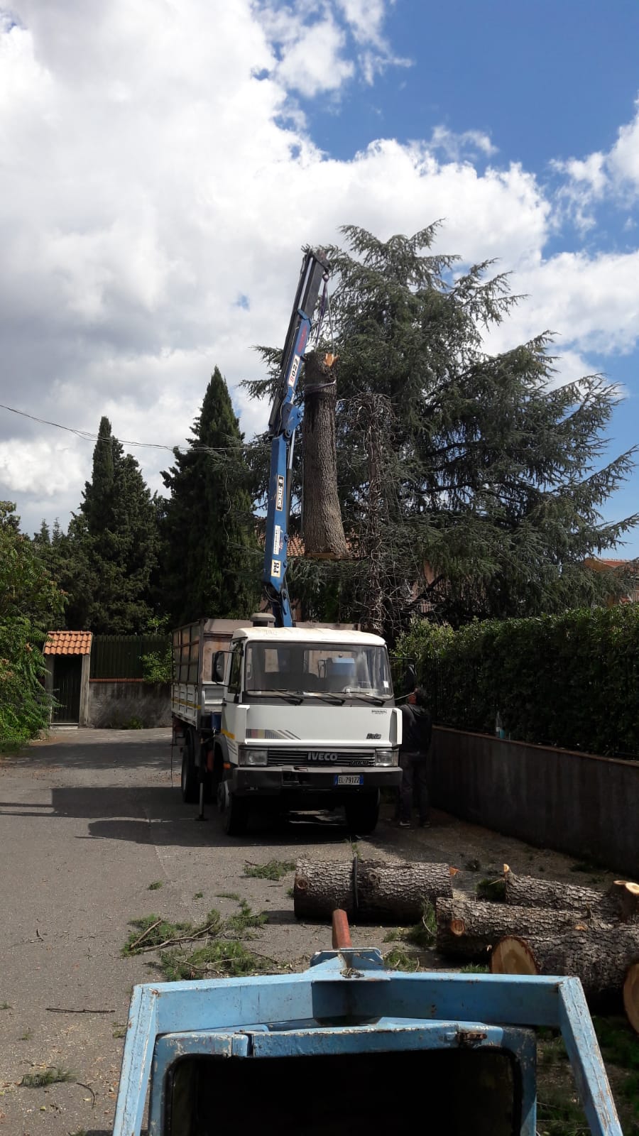 pulvirenti legna da ardere