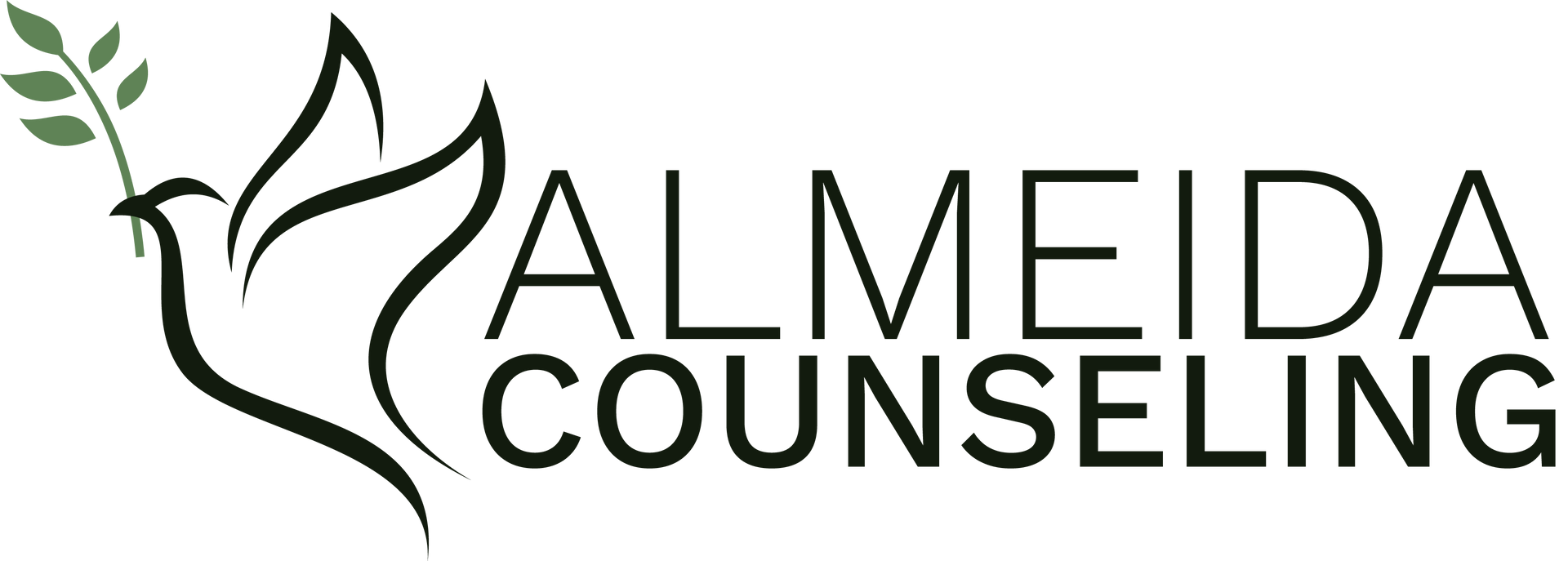 Logo for Almeida Counseling christian counseling and trauma therapy houston tx