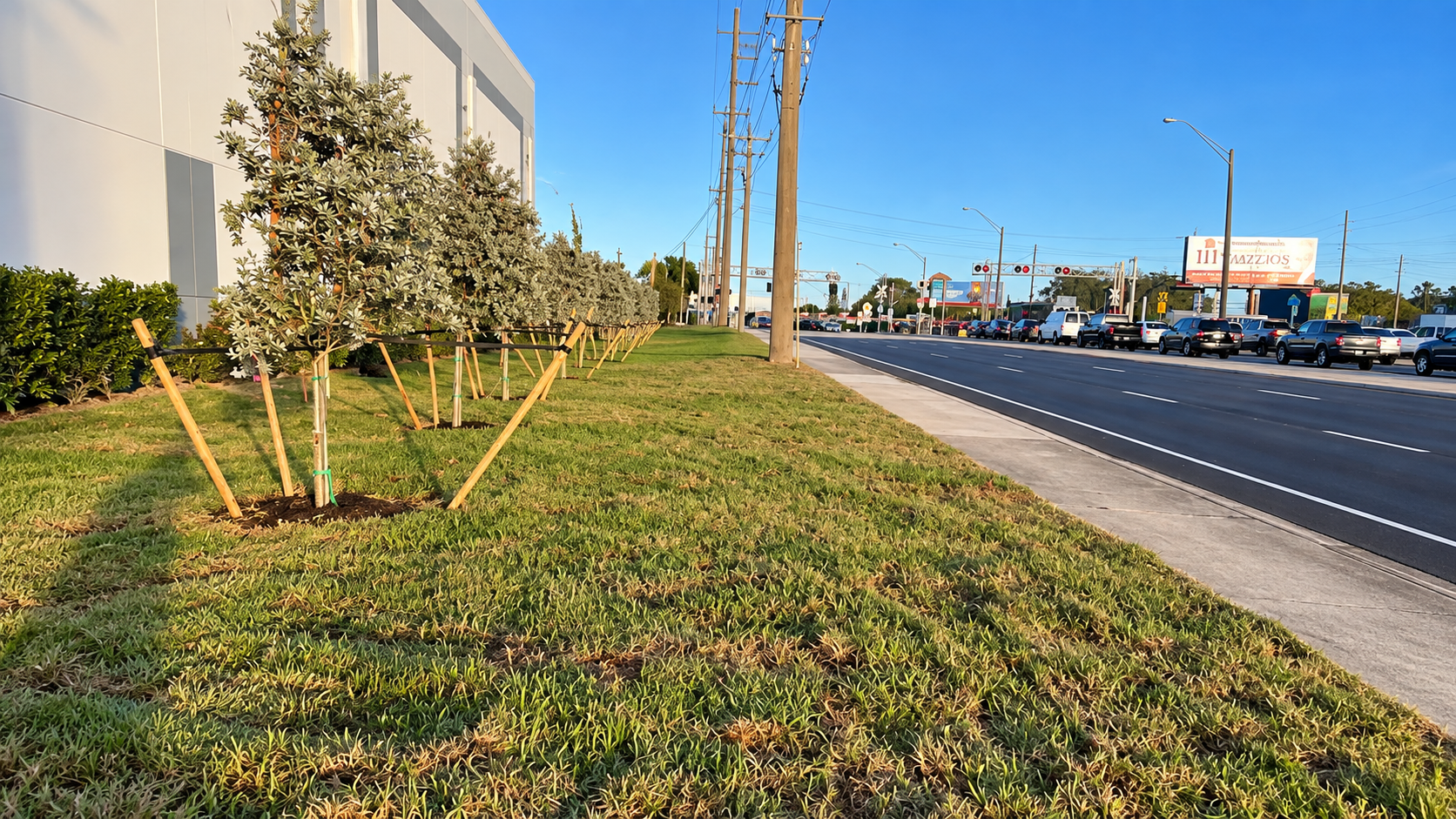 Grassy roadside beside a sidewalk and multi-lane street on a sunny day