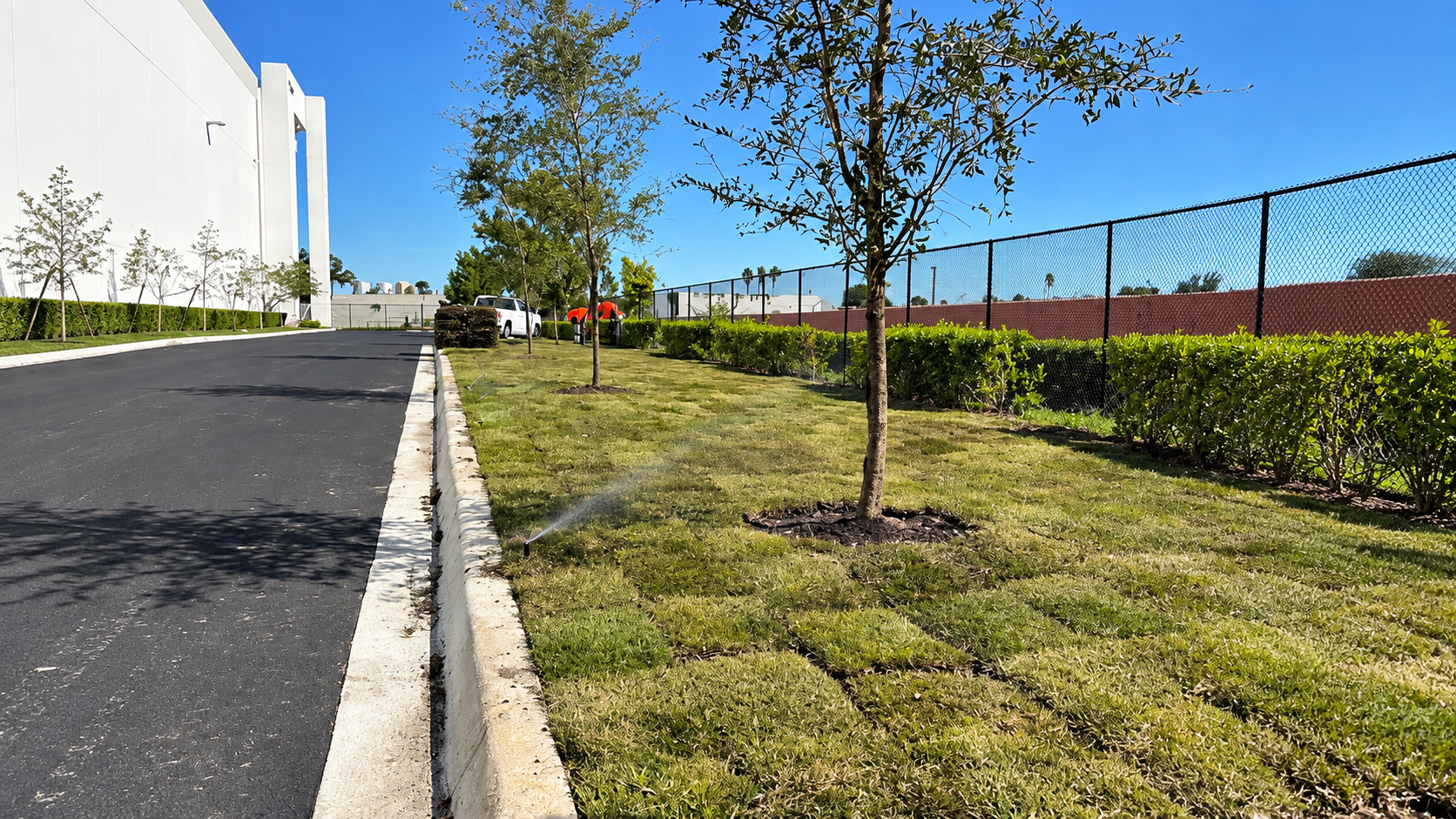 Sidewalk beside a white building, with young trees, grass, and a chain-link fence on a sunny day