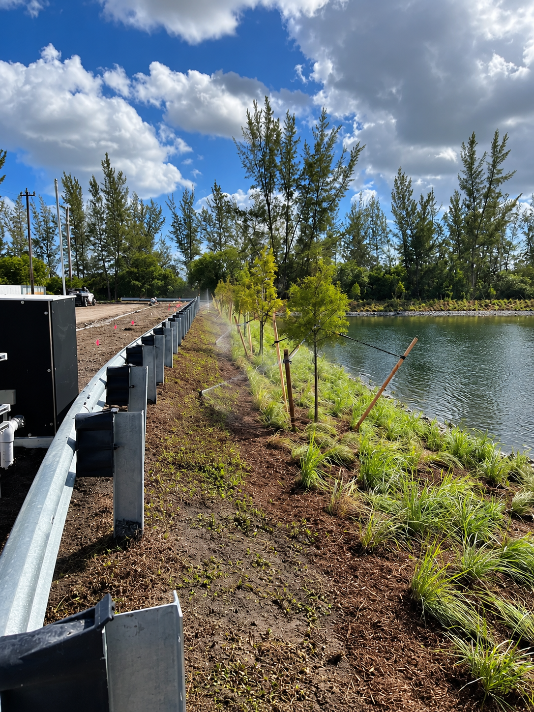 Lakeside walkway with guardrail, young trees, and blue sky with clouds along a grassy shoreline.