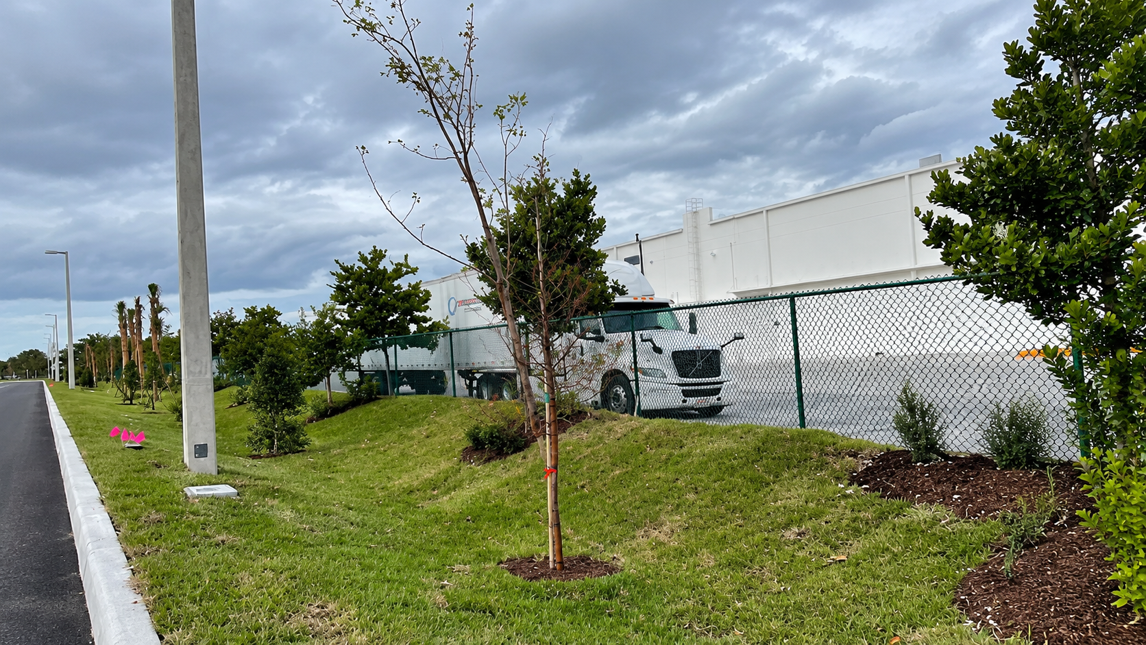 Roadside grassy strip with young trees, a utility pole, and a white warehouse under cloudy skies