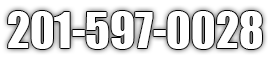 Phone number 201-597-0028 displayed in white block letters with a thin, black border on a white background.
