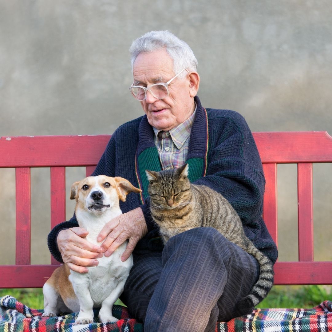 A person sitting on a red bench with a dog and a cat on their lap, looking down at the animals.