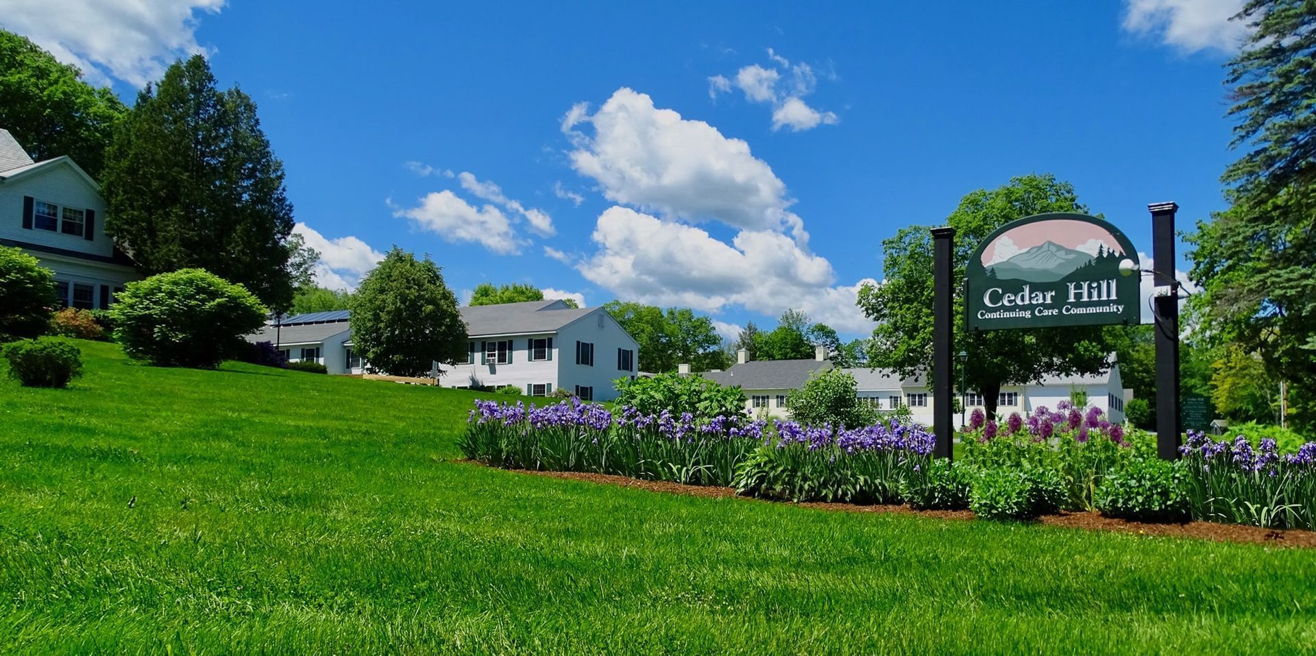 Green lawn with purple flowers, white houses, blue sky, and a sign that reads 
